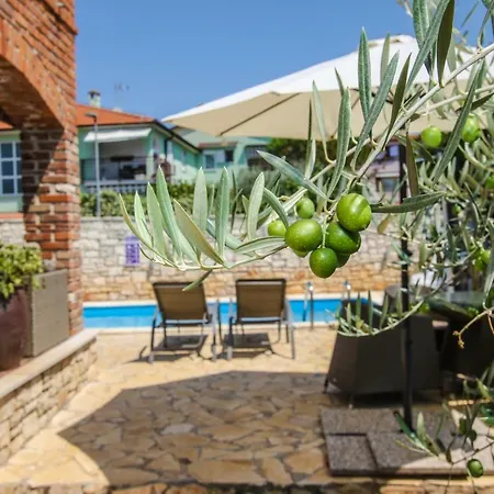 Villa Istriana Jakob With Pool